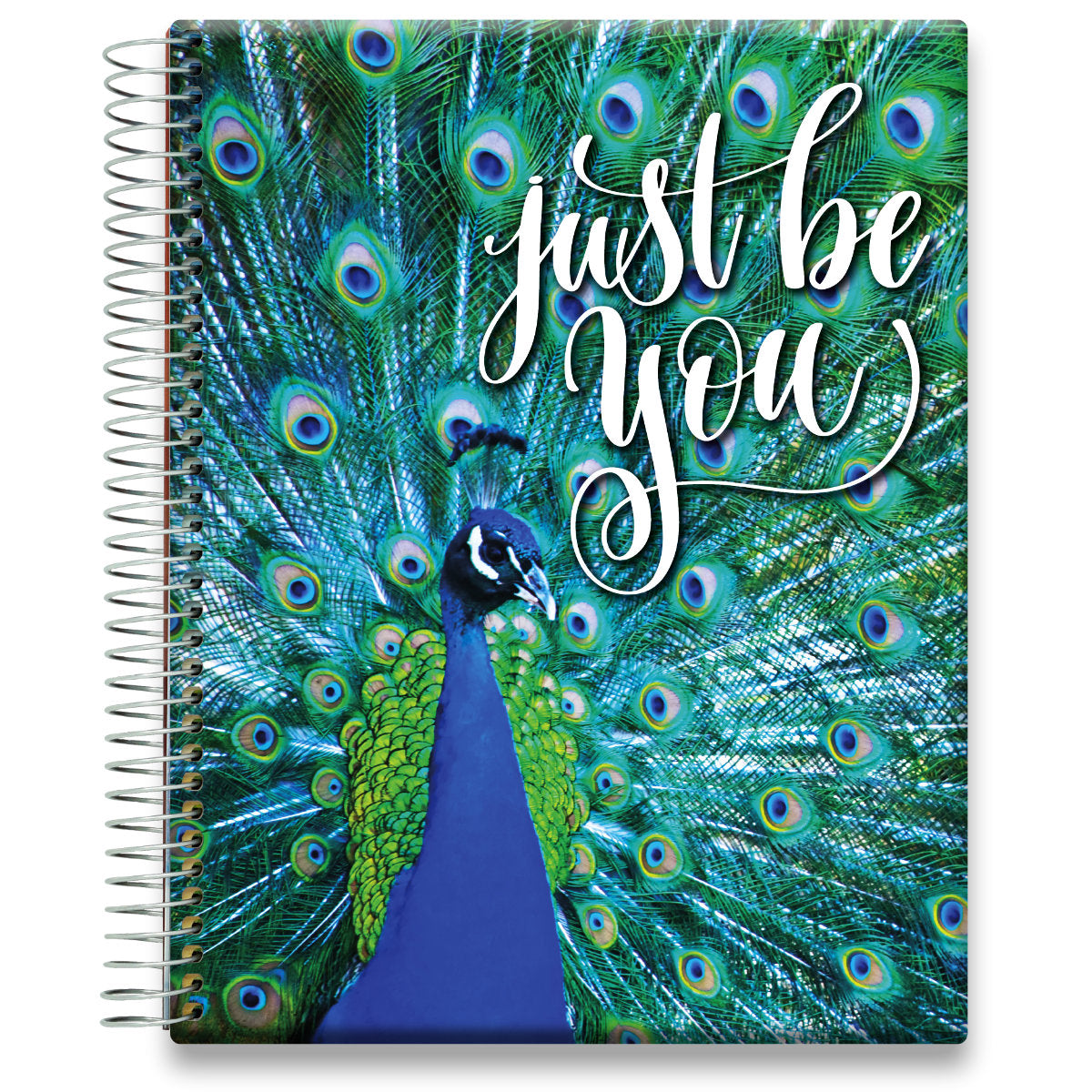 Oct 2024 to Dec 2025 Planner - Peacock w Quote