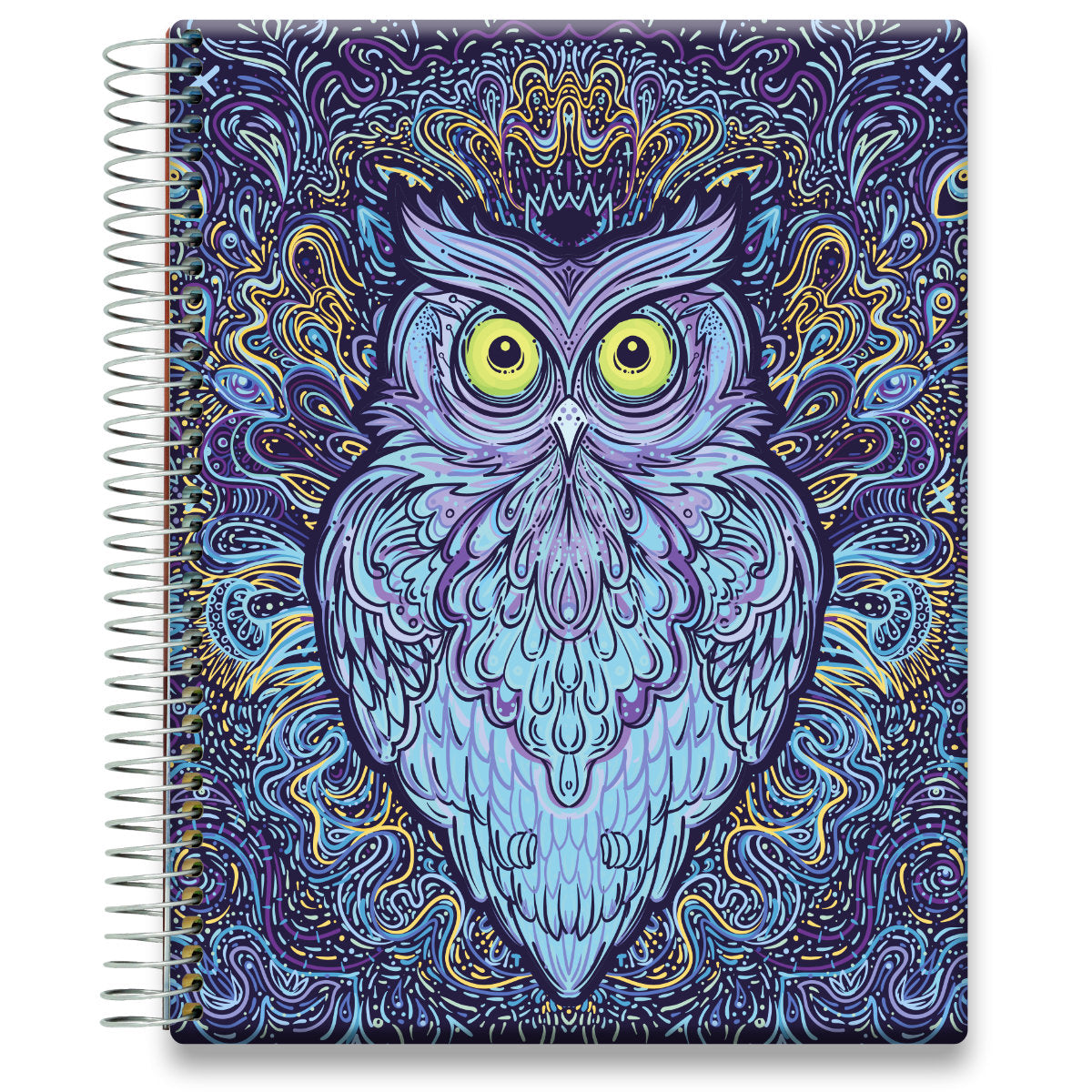 Oct 2024 to Dec 2025 Planner - Trippy Owl
