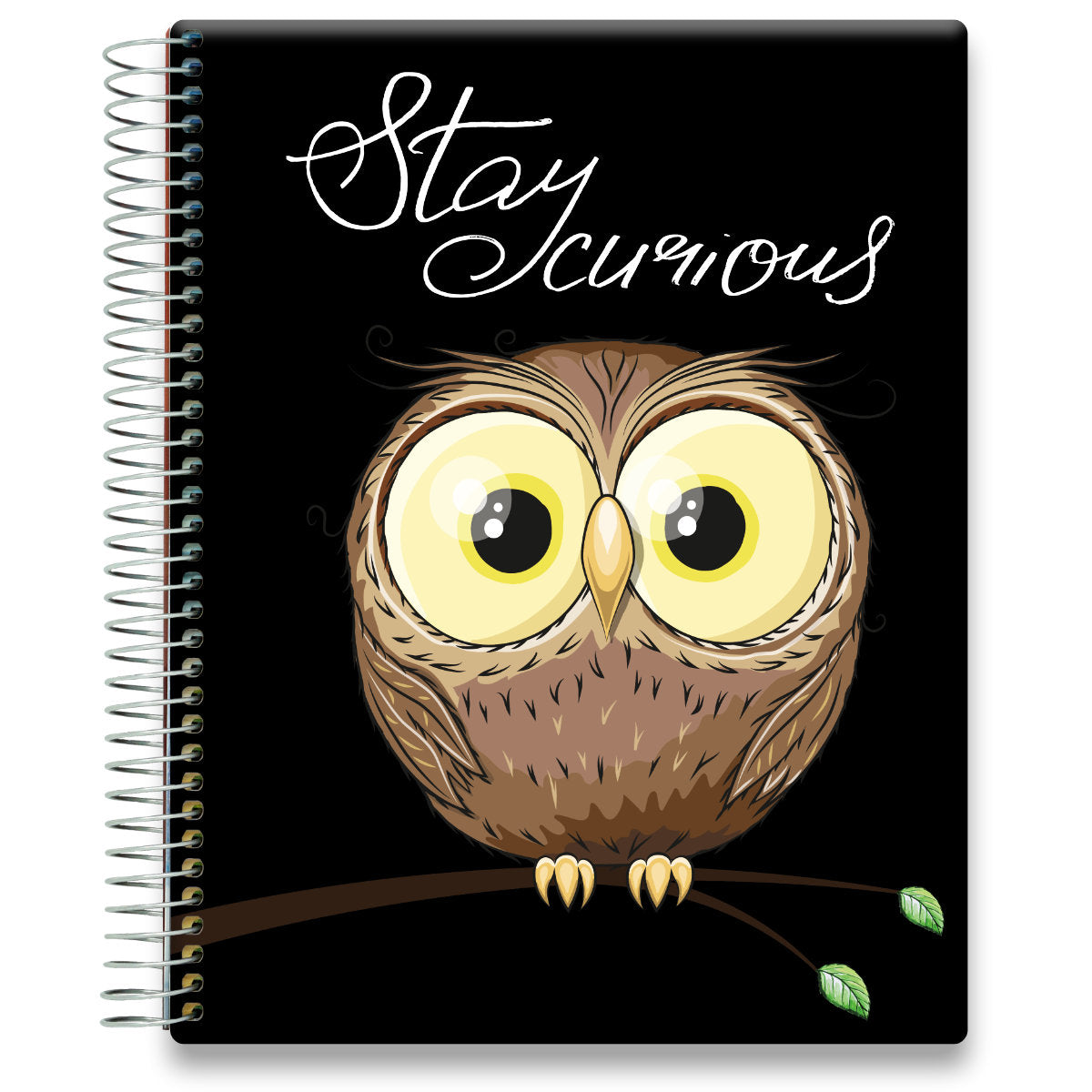 Coaching Session + May 2024 to Jun 2025 Planner - Curious Owl