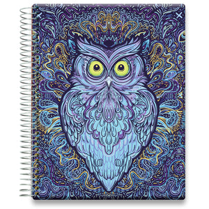 Coaching Session + May 2024 to Jun 2025 Planner - Trippy Owl