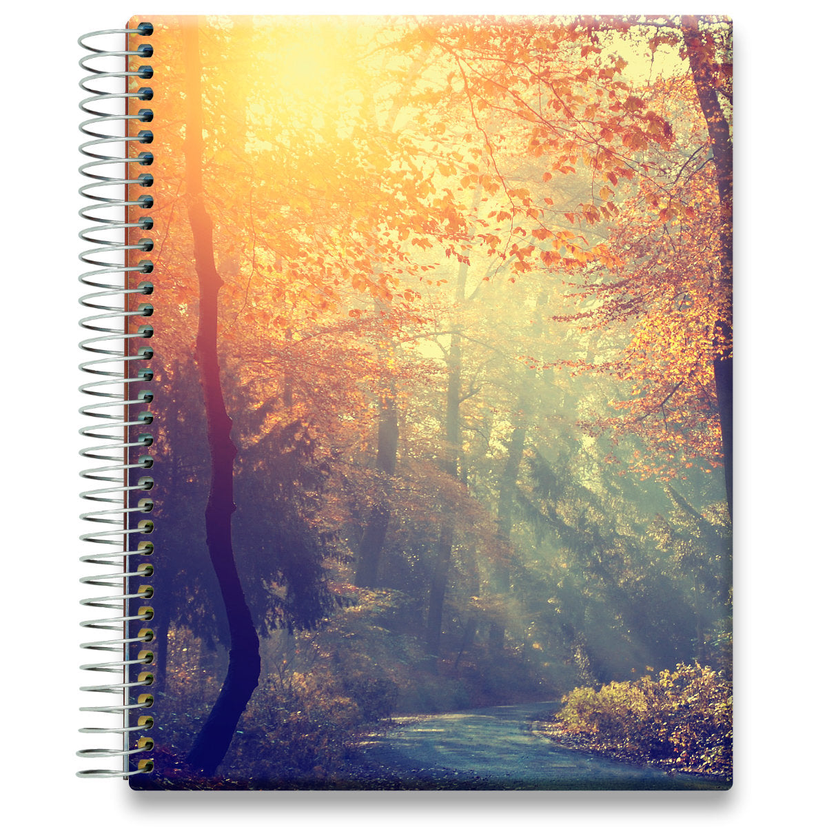 Coaching Session + May 2024 to Jun 2025 Planner - Walden Nature