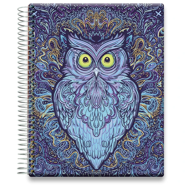 Tools4Wisdom 2026 Planner 2026 Calendar - Trippy Owl - Image 1